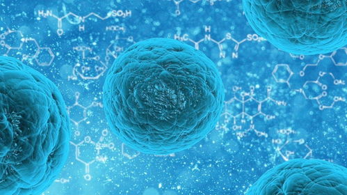 景鵠集團攜手江蘇全能干 常州煒闋進軍干細胞生物科技,共同開辟醫(yī)美新藍海